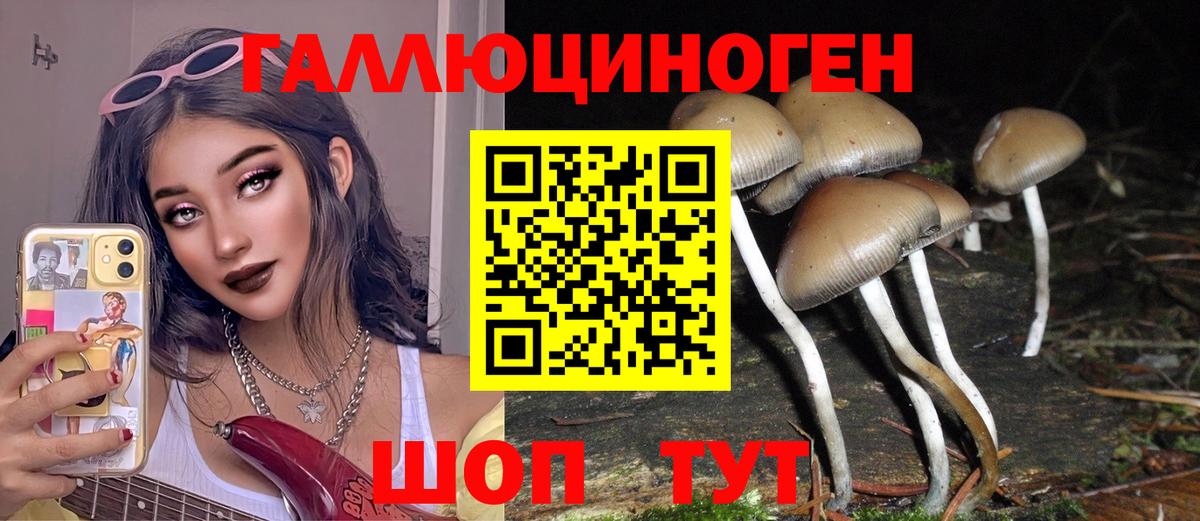 Галлюциногенные грибы Magic Shrooms Барабинск